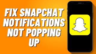 How to Fix Snapchat Notifications Not Popping Up (2024)