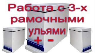 "Работа с 3-х рамочными ульями. Плюсы и минусы" - Соловьев Сергей