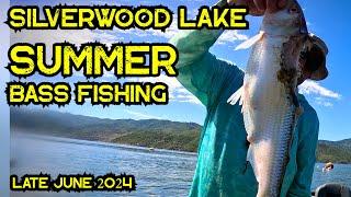 Silverwood Lake Summer Bass Fishing | June 2024 #fishing #bass #bassfishing #summer