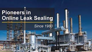 ONLINE LEAK SEALING Procedure & Technology Explained