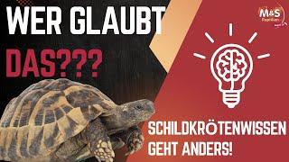  SHOCKING MISTAKES? | Greek tortoises in ONLY 100 seconds? | Reptil TV REACTION 