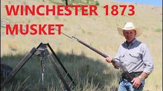 Winchester 1873 Musket