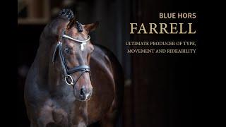 Blue Hors Farrell Aabent hus 2020 EN