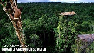 Suku Korowai Tinggal Di Rumah Pohon Tertinggi Mencapai 50 Meter Di Papua Indonesia