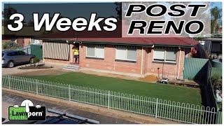 Week 3 Post Reno Launch and Root Builder App & Mower Sharpen