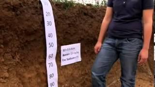 Soil Description at BCG Main trial site- Live cross birchip cropping group