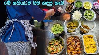 මාත් Meal Prep කරන්න පටන් ගත්තා  සතියටම කෑම හදලත් ඉවරයි  Meal Preparation for week  BandiFull