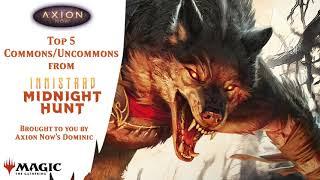 Innistrad: Midnight Hunt Top 5 commons & uncommons