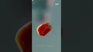 The Silent Sea WhatsApp Status 2022|The Silent Sea Full Vertical Edit Status||KF