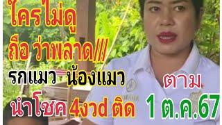 #รกแมวนำโชค  ตามต่อ1/10/67