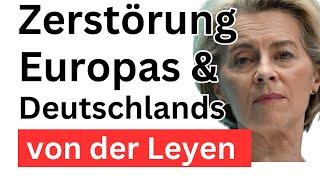 KI, Krieg, Krise: Europa wird zerstört! Die größte politische Inkompetenz aller Zeiten.