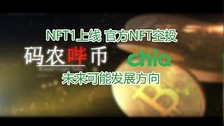 【码农哔币】Chia NFT上线我终于可以休息了