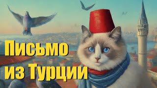 «Письмо коту Василию из Турции»песня кота Мурзика