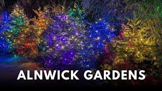 The ALNWICK GARDEN Winter Light Trail - Walking Tour | 4K | 60FPS