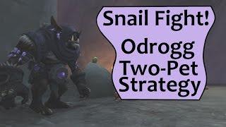 Odrogg - Two Pet Strategy for Leveling Pets on Snail Fight!