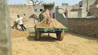 कितने पावर के साथ ऊंट गाड़ी को पिच्छे हटाया मांगी नाथ ने! village life India