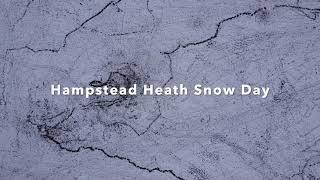 Hampstead Heath Snow Day 2021 (Drone Video)