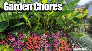 Garden Chores! Hanging Baskets || Pruning Palms & Bananas || Weeding || Lowes ||  Saturday Vlog