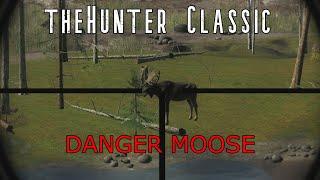 theHunter Classic - Moose (No Commentary) HD