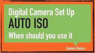 Camera ISO: When to use AUTO ISO