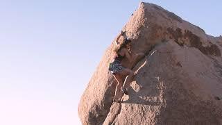 Joshua Tree - Dreaming of the Master, V8