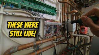 These Were Still Live! - A Day In The Life Of A Gas Engineer 166