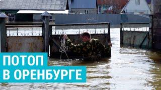 Спасти свои дома. Наводнение в Оренбурге