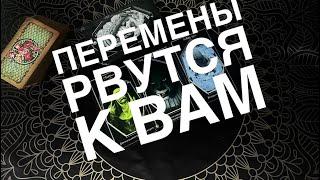 Это видео найдет тебя перед важным событием!