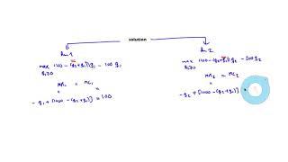 Principles of economics for scientists || 05 Practice problem 8 1    solution