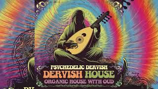 Psychedelic Dervish - Dervish House (Organic House, Techno with Oud)