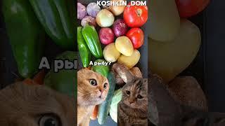 РАЗГОВОР ДВУХ КОТОВ  Ч.192