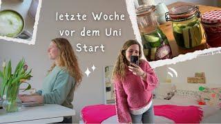 Neue Uni angucken, Matcha lieben lernen, Sauerteig ansetzen, Wohnung einrichten, Pflanzen // Madita