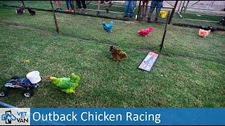 Chicken Races, Rainforest Sky Walks & a flat tyre (again) - Queensland turns it on!