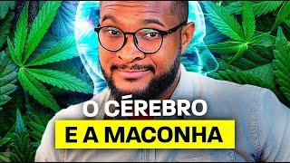 COMO A MACONHA AFETA A SAÚDE MENTAL