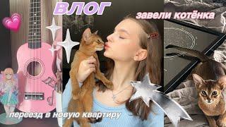 влог про переезд/купили котёнка