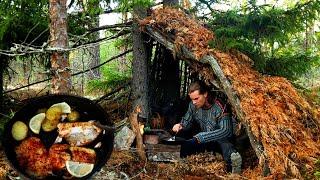 CATCH & COOK at my Primitive Shelter: Wild Pike Cooking ASMR