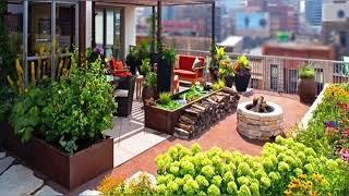 Amazing Rooftop Garden Designs Around The World 