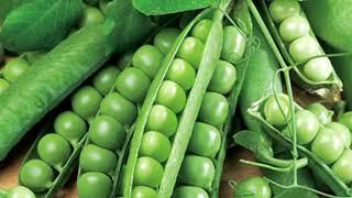 Peas (Pisum sativum)