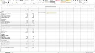 Calculating Debt-to-Equity Ratio in Excel