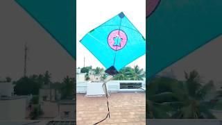 kite flying #viral #trendingshorts #trending #kite #tamil#gonewrong #subscribe