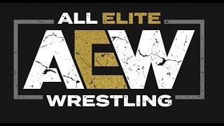 la ALL ELITE WRESTLING arriva in ITALIA su SKY SPORT