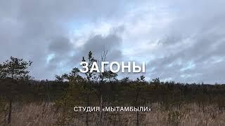 загоны 1