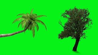 Top 14 Tree Palm Tree Plants Effects Footage Green Screen HD | chroma key Tree & plants