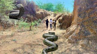 Small boy O is swallowed by a monstrous anaconda small - Anaconda Atteck to Little Child | #viral