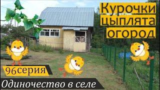 Бесконтрольное размножение кур: зомбиленд, лепрозорий, детсад... Одиночество в селе, серия 96