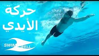 حركة الذراعين في السباحة الحرة