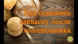 Как освежить закваску из холодильника. Закваска на пике