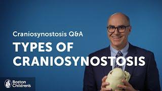 What are the different types of craniosynostosis? | Boston Children's Hospital