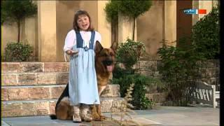 Romana (Romy) - Mein Rex - der liebste Hund der Welt