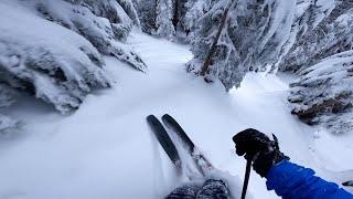 Tight Trees and Fresh Powder at grouse mountain